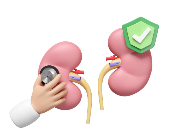 Check Kidney  3D Icon