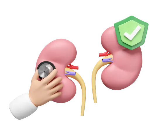 Check Kidney  3D Icon