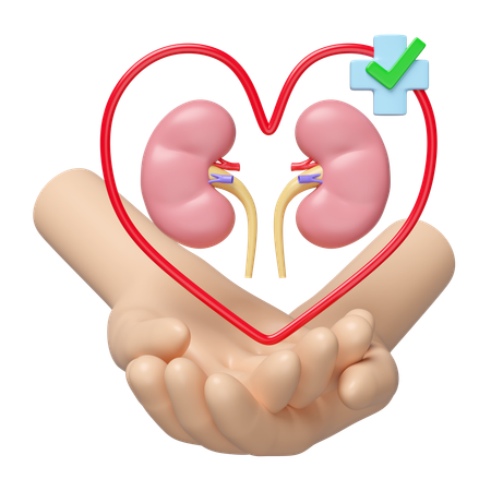 Check Kidney  3D Icon