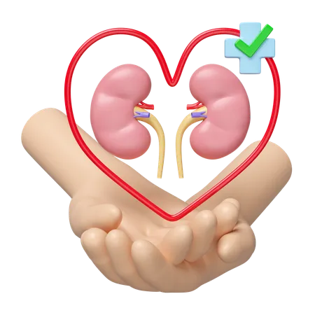 Check Kidney  3D Icon