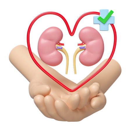 Check Kidney  3D Icon