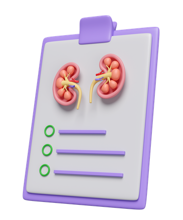 Check List For Kidney  3D Icon