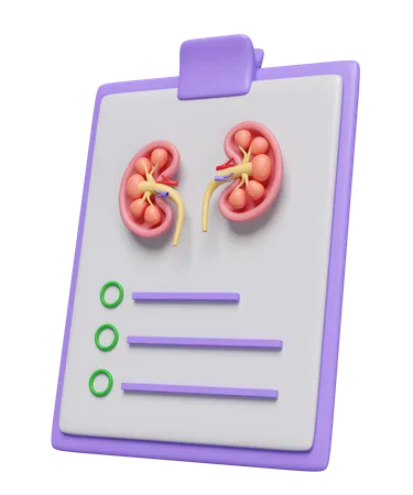 Check List For Kidney  3D Icon