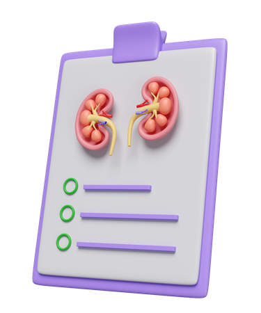 Check List For Kidney  3D Icon
