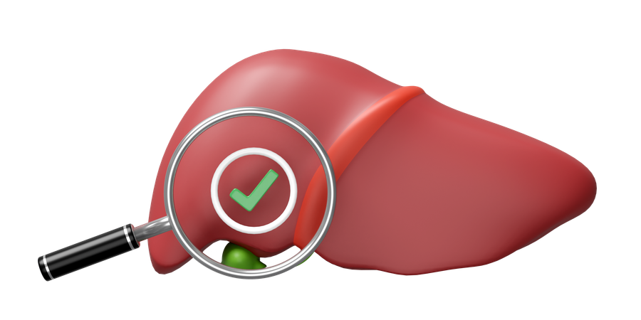 Check Liver  3D Icon