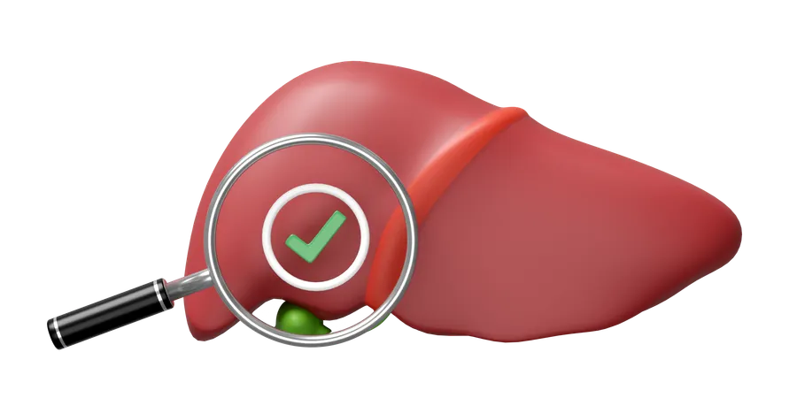 Check Liver  3D Icon