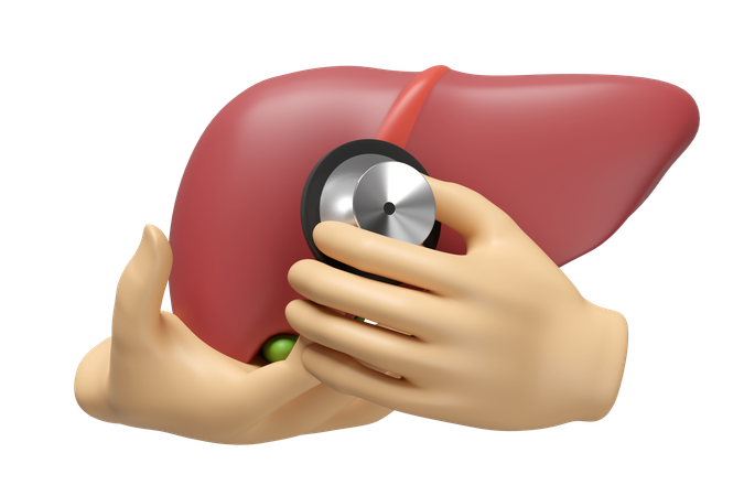 Check Liver  3D Icon