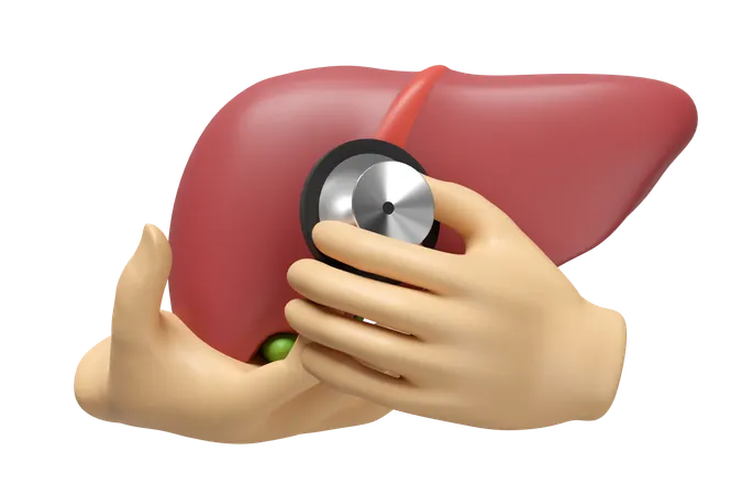 Check Liver  3D Icon