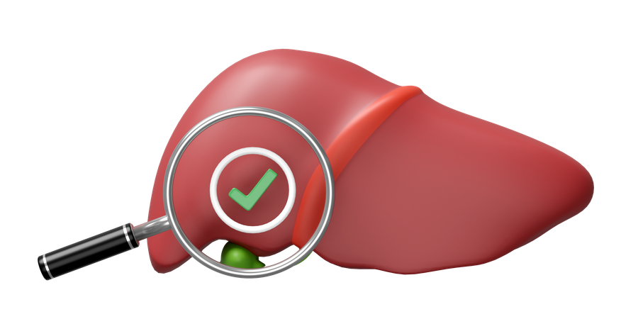 Check Liver  3D Icon