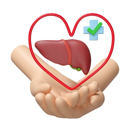 Check Liver Health  3D Icon