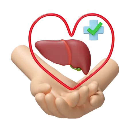 Check Liver Health  3D Icon