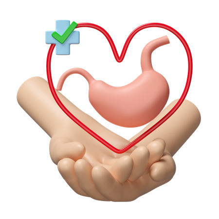 Check Stomach  3D Icon