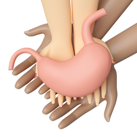 Check Stomach Health  3D Icon