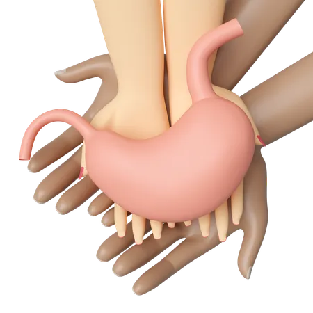 Check Stomach Health  3D Icon