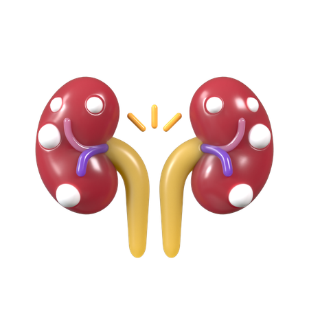 Exame renal  3D Icon