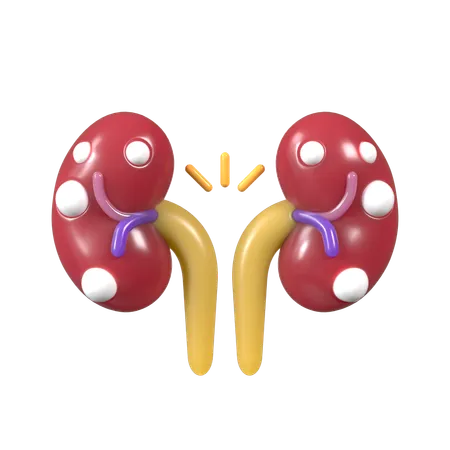 Exame renal  3D Icon