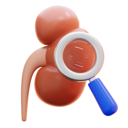 Exame renal  3D Icon