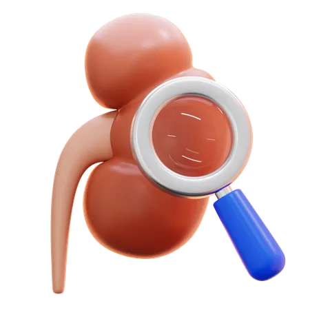 Exame renal  3D Icon