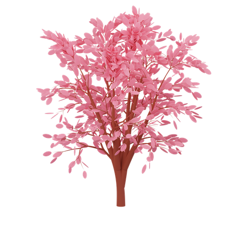 Cheery Blossom  3D Icon