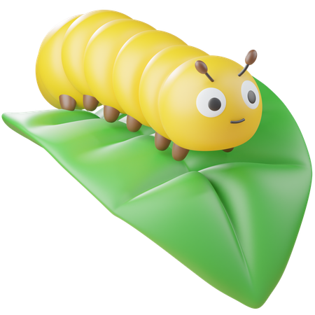 Chenille  3D Icon