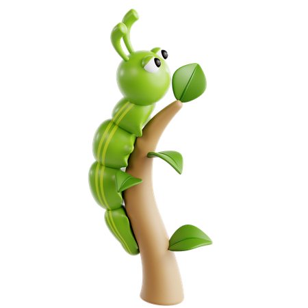 Chenille  3D Icon