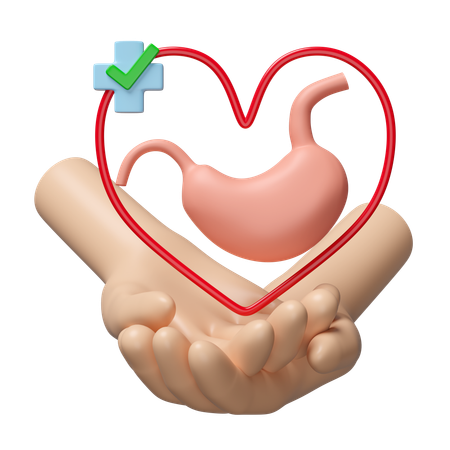 Revisar el estomago  3D Icon