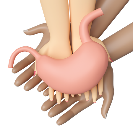 Comprobar la salud del estómago  3D Icon
