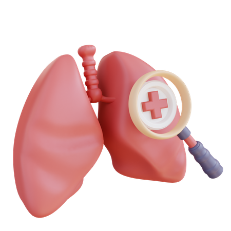 Chequeo pulmonar  3D Icon