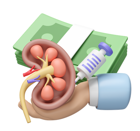 Revisar el riñón  3D Icon