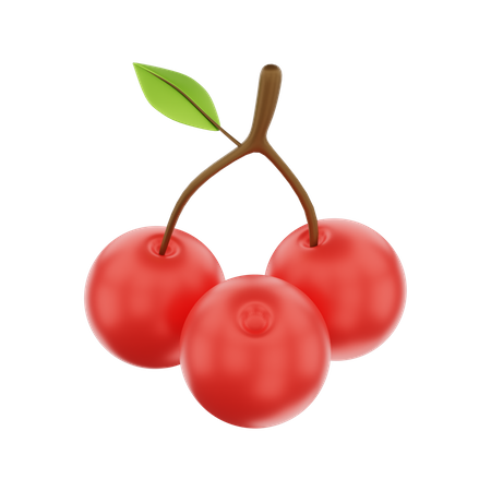 Cherry  3D Icon