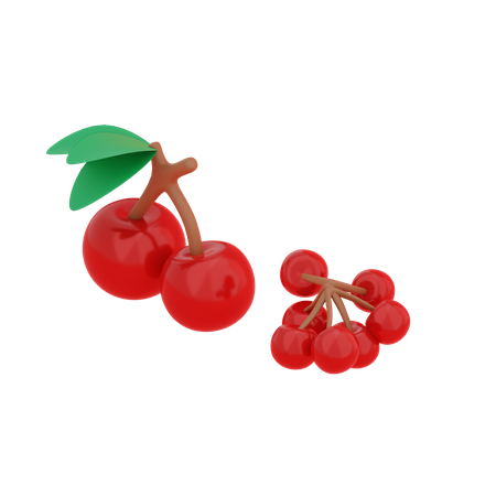 Cherry  3D Illustration