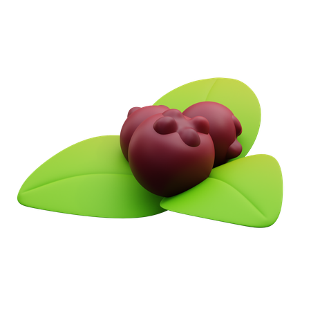 Cherry And Leaves  3D Icon
