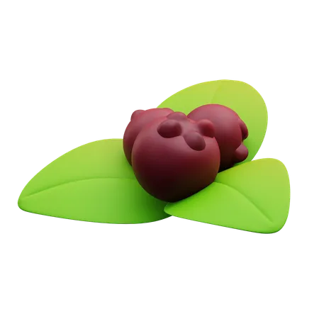 3 D Illustration Of Cherry And Leaves 3D Icon