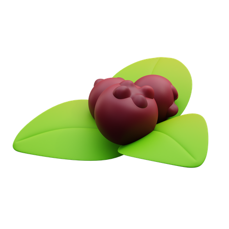 Cherry And Leaves  3D Icon