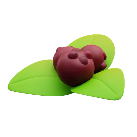 Cherry And Leaves  3D Icon