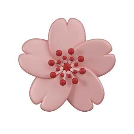 A 3 D Icon Of A Pink Cherry Blossom Beautifully Represents The Spring Season And Renewal 3D Icon