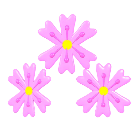 Cherry Blossom 3 D Illustration 3D Icon