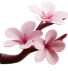 Cherry Blossom