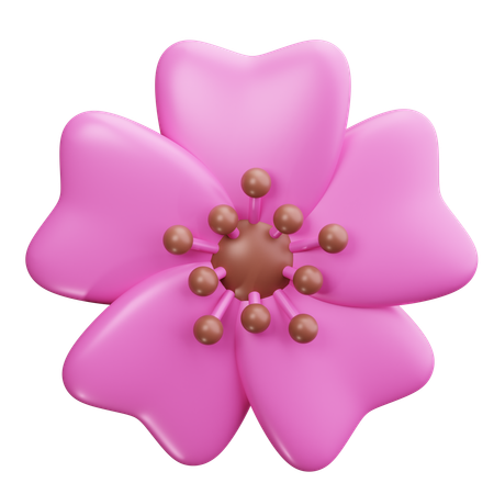 Cherry Blossom  3D Icon