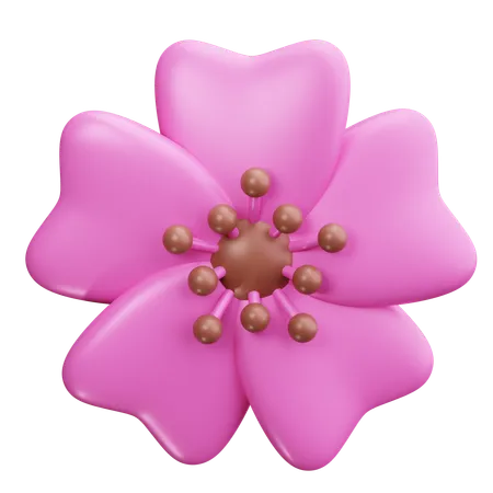 Cherry Blossom  3D Icon