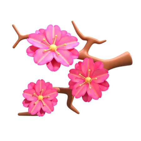 Cherry Blossom  3D Icon