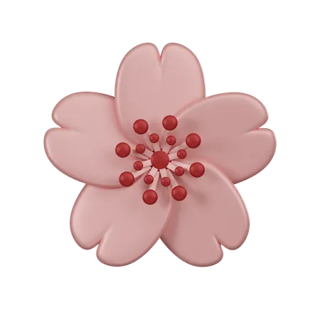 Cherry Blossom  3D Icon