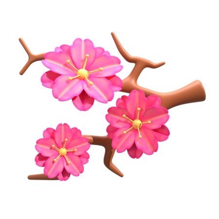 Cherry Blossom  3D Icon