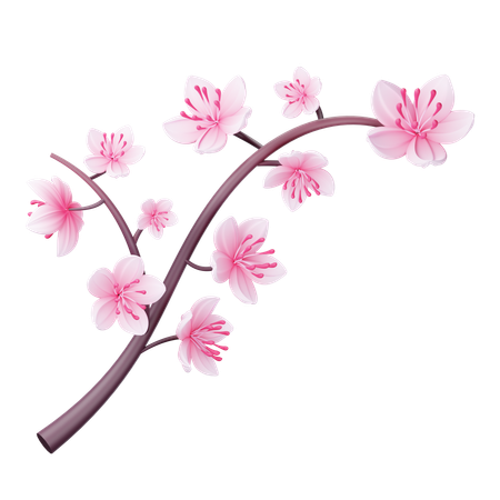 Cherry Blossom  3D Icon