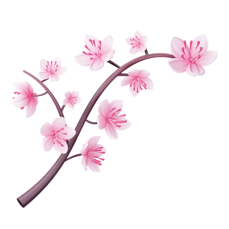 Cherry Blossom  3D Icon