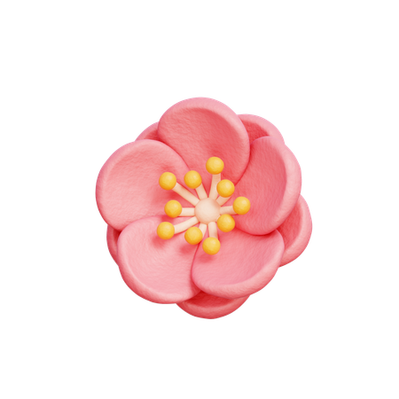 Cherry Blossom  3D Icon