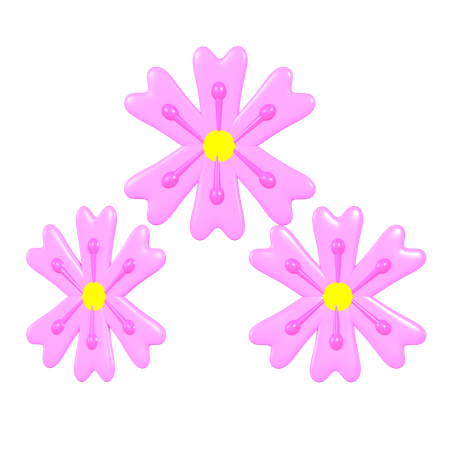 Cherry Blossom  3D Icon