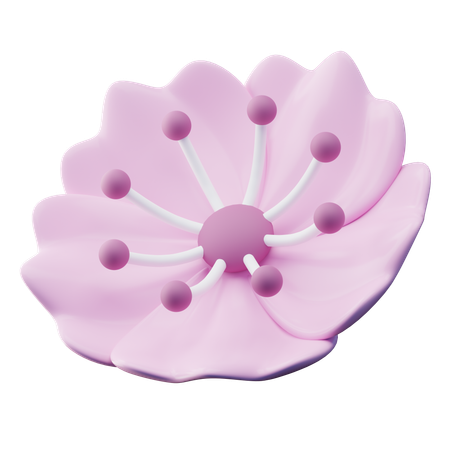 Cherry Blossom  3D Icon