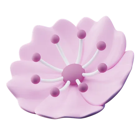 Cherry Blossom  3D Icon