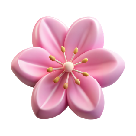 Cherry Blossom  3D Icon